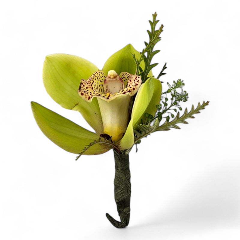 Cymbidium Elegance Boutonniere