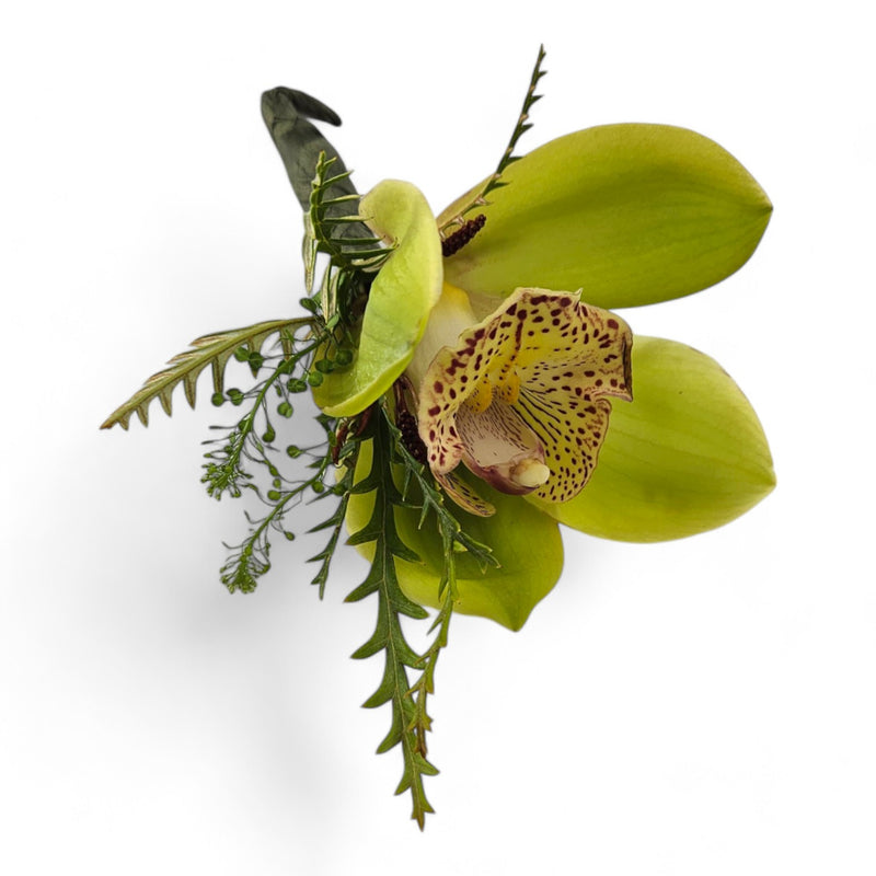 Cymbidium Elegance Boutonniere