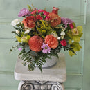 Blushing Bloom Succulent