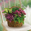 Secret Garden Basket
