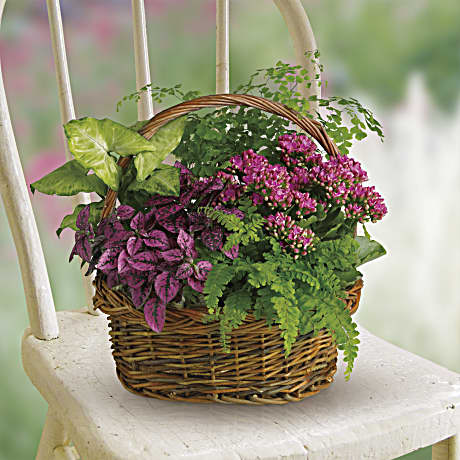 Secret Garden Basket