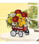 Baby's Wow Wagon  Boy