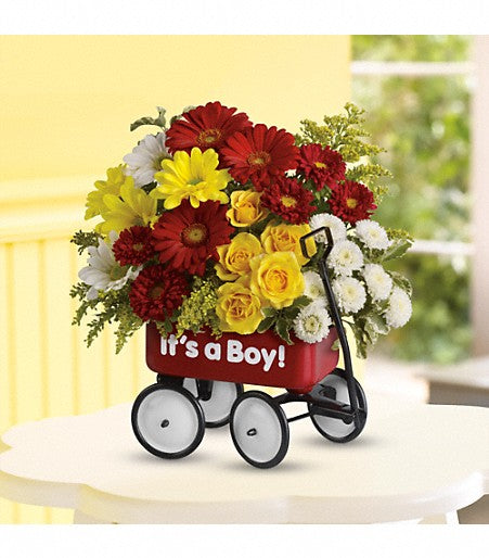 Baby's Wow Wagon  Boy