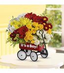 Baby's Wow Wagon  Boy