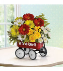 Baby's Wow Wagon   - Girl