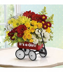 Baby's Wow Wagon   - Girl