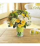 Daisies and Sunbeams