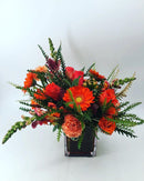 Orange you  glad you Love me